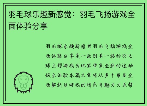 羽毛球乐趣新感觉：羽毛飞扬游戏全面体验分享